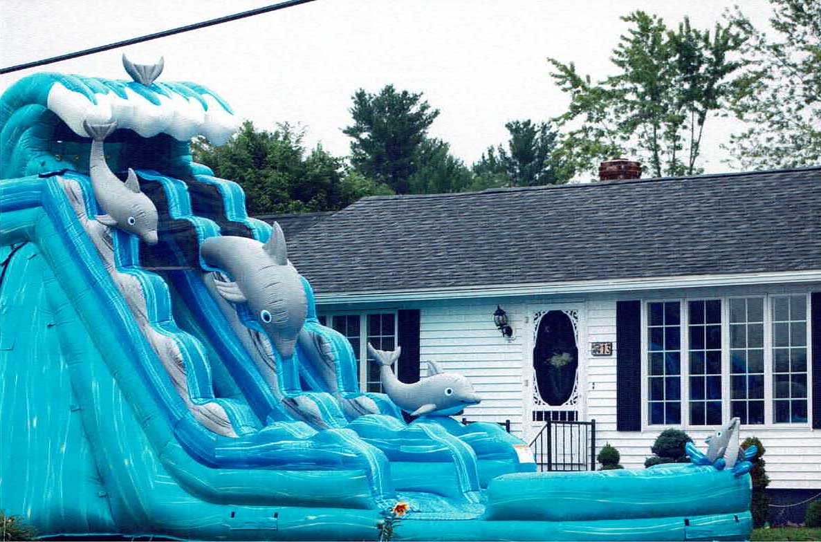 Dolphin II Inflatable Water Slide Rental